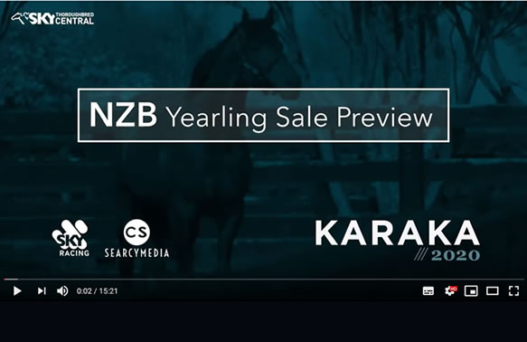 Karaka2020 Preview Tile